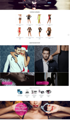 Adult Toys Turnkey Dropship Store