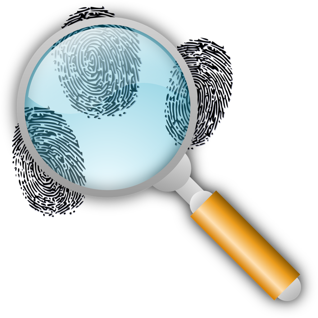 Best Dropship Tool for Finding Winning Items
