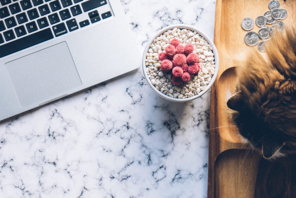 Dropshipping with Google Shopping Ads The Definitive Resource