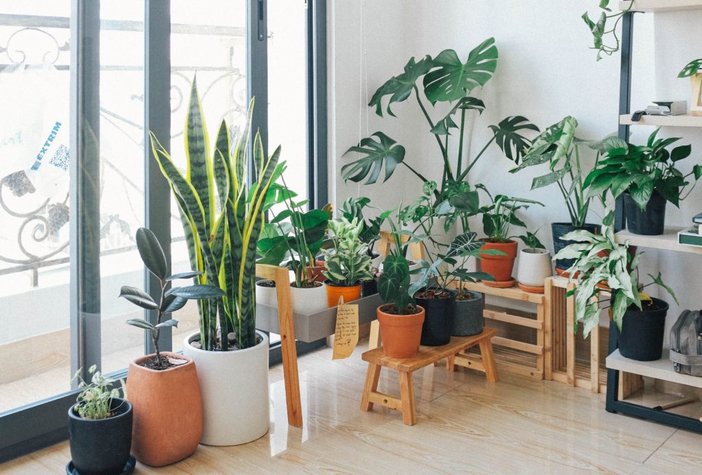 Popular Goods for the Home and Garden