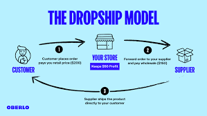 DROPSHIP MODEL