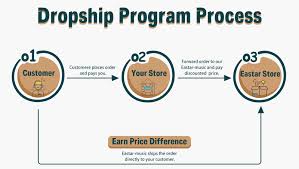 Dropship Programme Process