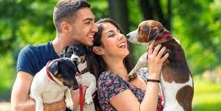 pet caring